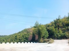 -长沙黑麋峰国家森林公园