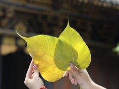 -罗汉寺