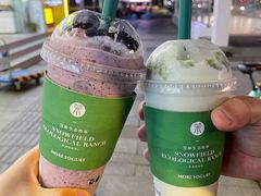 -茉酸奶(春熙路店)