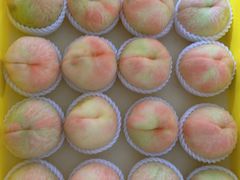 -老袁家蜜桃农场·阳山水蜜桃