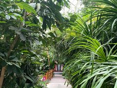 -寿山福海养老服务中心(石景山院)