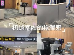 -青岛胶东国际机场