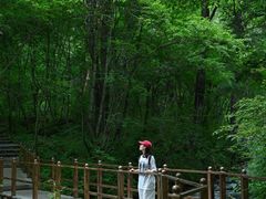 -叠溪松坪沟景区