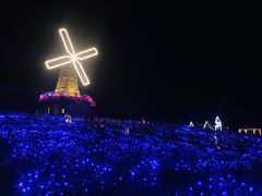 -大塘金香草谷