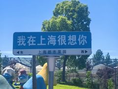 -上海都市菜园