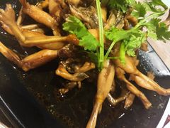 酱卤牛蛙-巴厘龙虾·榜首油焖大虾(音乐学院·沿江酒馆店)