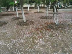 -公益图书馆(江南大学店)