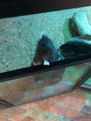 -酷嗒动物文化乐园(cutezoo西溪乐天城店)