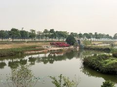-石岐乳鸽村(南海第三分店)