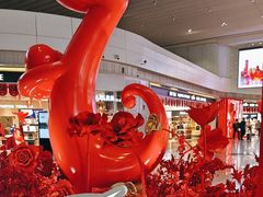 -广州白云国际机场-T2航站楼