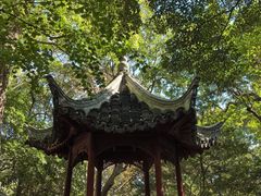 -秋霞圃