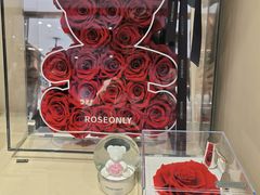 -ROSEONLY诺誓(磐基中心店)