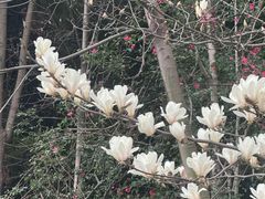 -四川大学(江安校区)