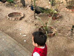 -呀路古热带植物园