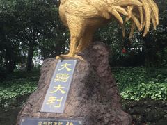 -海口火山口国家地质公园