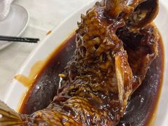 挣蹦鲤鱼-奥华餐厅·老张记(台基厂店)