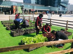 -大族广场Mall&More