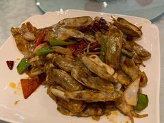 -金蝉食府(维吉奥广场店)