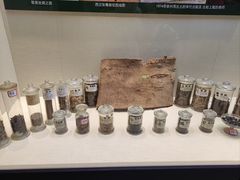 -广东中医药博物馆