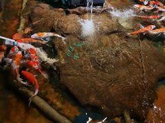 -太平洋海底世界