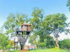 -福建鲤鱼洲酒店