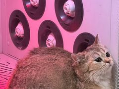 -沐沐家宠物(成寿寺店)