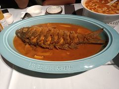 红烧黄河鲤鱼-阿五黄河大鲤鱼(纬三路店)