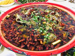 -东吴霸王兔(松青路店)
