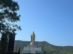 -中原大佛景区