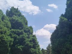 -北陵公园