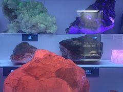 -湖南省地质博物馆