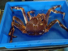 -蟹后Crabber(水悦城店)