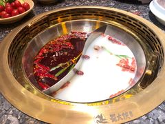 -蜀大侠火锅(森兰花园城店)