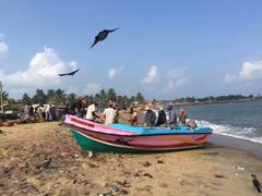 -尼甘布海鲜市场