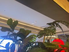 -辛香汇·现炒川菜(城北万象城店)
