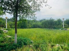 景点-滨河世纪广场公园