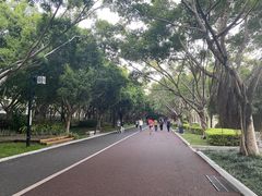 -南宁南湖公园