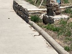 -天津东丽湖风景区
