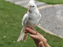 -惠州金海湾嘉华度假酒店