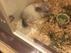 -龙猫仔乐园(惠福东路店)