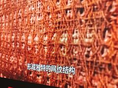 -巴音郭楞蒙古自治州博物馆