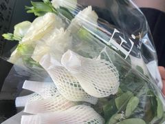 -循礼门鲜花花市(武汉循礼门店)