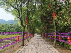 -天台山赤城山景区