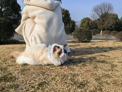 -南京市江宁方山