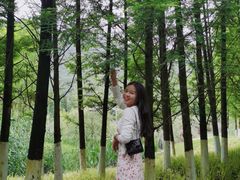 -贵阳市花溪国家城市湿地公园