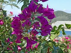 -芽庄珍珠岛游乐园