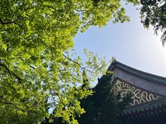-湛山寺