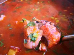 -胖大姐黄辣丁鱼庄(新津店)