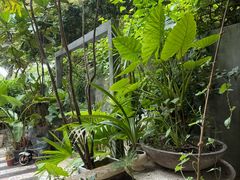 -时光花园(白鹭洲店)