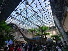 -国家自然博物馆